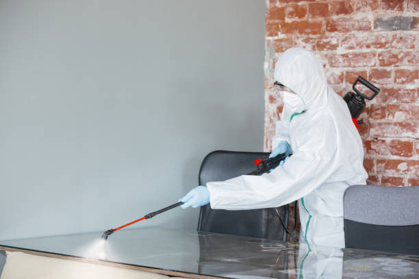 Best Industrial Mold Remediation  in Gila Bend, AZ